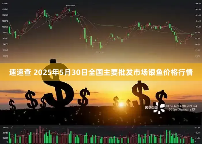 速速查 2025年5月30日全国主要批发市场银鱼价格行情
