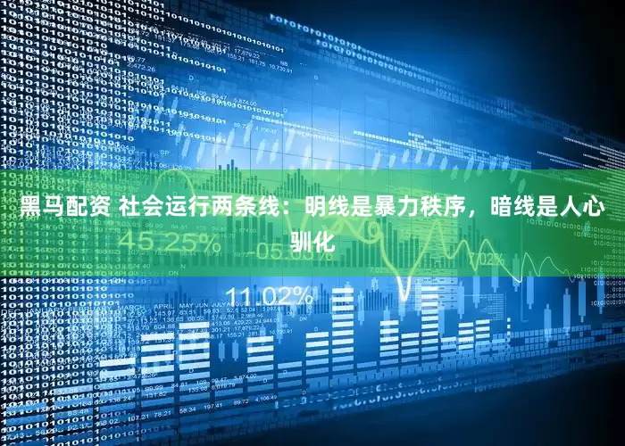黑马配资 社会运行两条线：明线是暴力秩序，暗线是人心驯化