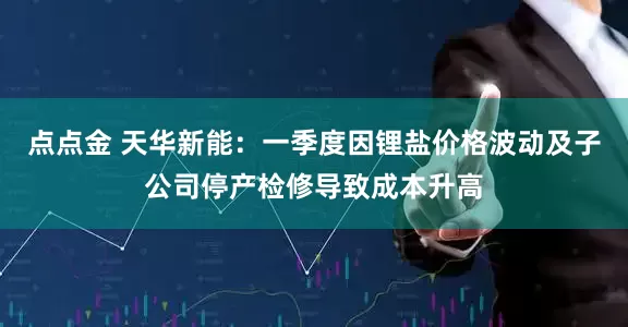 点点金 天华新能：一季度因锂盐价格波动及子公司停产检修导致成本升高