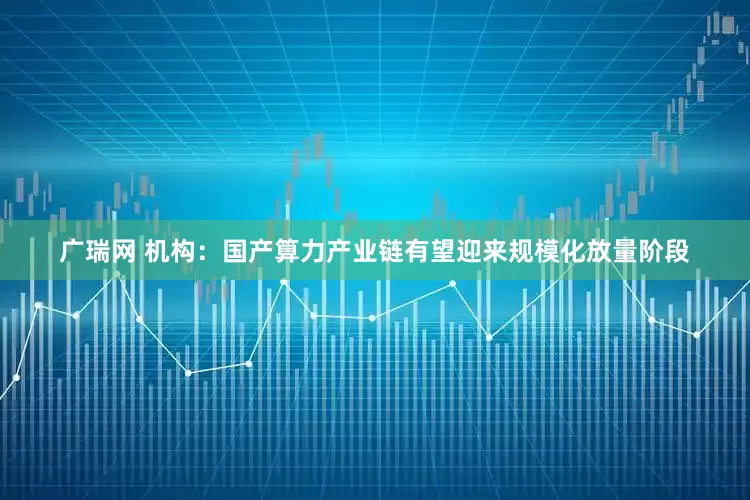 广瑞网 机构：国产算力产业链有望迎来规模化放量阶段